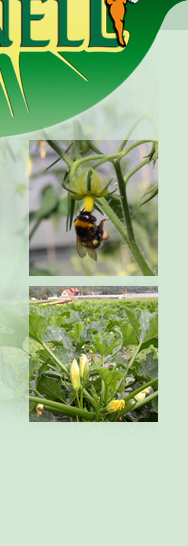 image left anbau und produktion